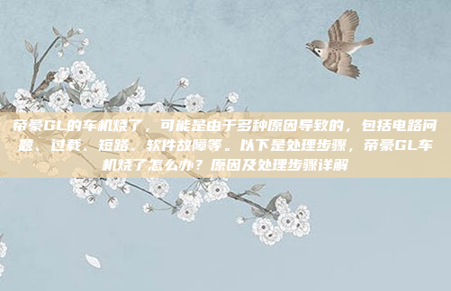 帝豪GL的车机烧了，可能是由于多种原因导致的，包括电路问题、过载、短路、软件故障等。以下是处理步骤，帝豪GL车机烧了怎么办？原因及处理步骤详解