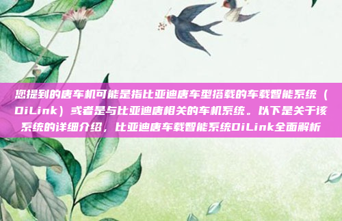 您提到的唐车机可能是指比亚迪唐车型搭载的车载智能系统（DiLink）或者是与比亚迪唐相关的车机系统。以下是关于该系统的详细介绍，比亚迪唐车载智能系统DiLink全面解析