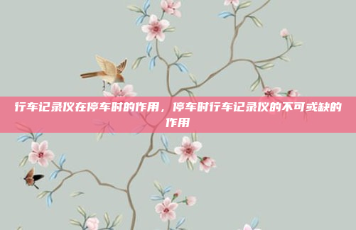 行车记录仪在停车时的作用,停车时行车记录仪的不可或缺的作用