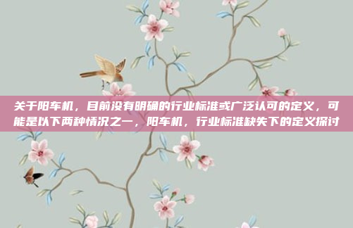 关于阳车机，目前没有明确的行业标准或广泛认可的定义，可能是以下两种情况之一，阳车机，行业标准缺失下的定义探讨