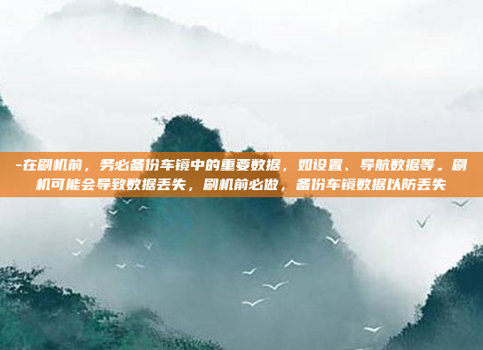 -在刷机前，务必备份车镜中的重要数据，如设置、导航数据等。刷机可能会导致数据丢失，刷机前必做，备份车镜数据以防丢失