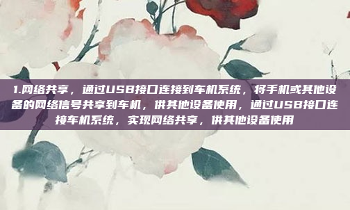 1.网络共享，通过USB接口连接到车机系统，将手机或其他设备的网络信号共享到车机，供其他设备使用，通过USB接口连接车机系统，实现网络共享，供其他设备使用