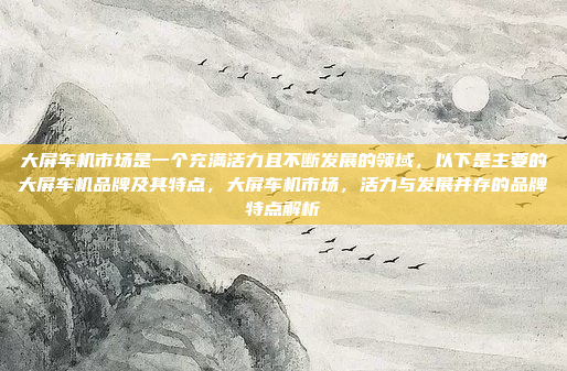 大屏车机市场是一个充满活力且不断发展的领域,以下是主要的大屏车机品牌及其特点,大屏车机市场,活力与发展并存的品牌特点解析