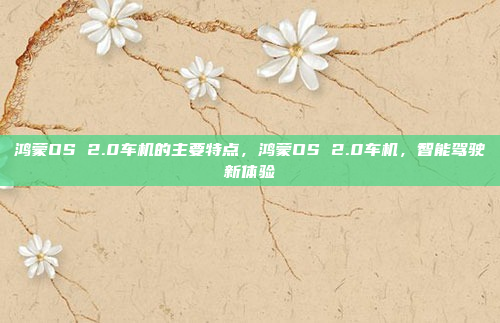 鸿蒙OS 2.0车机的主要特点，鸿蒙OS 2.0车机，智能驾驶新体验