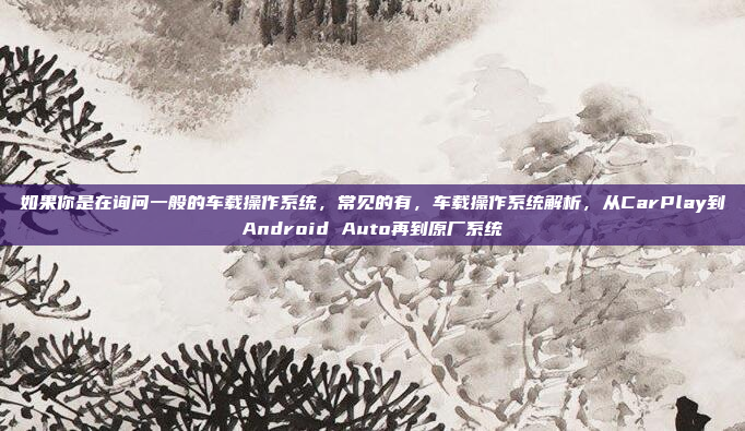 如果你是在询问一般的车载操作系统，常见的有，车载操作系统解析，从CarPlay到Android Auto再到原厂系统
