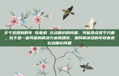 关于您提到的车 收音机 右边喇叭的问题，可能涉及多个方面。以下是一些可能的解决方案和建议，如何解决您的车收音机右边喇叭问题