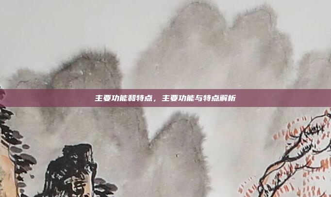 主要功能和特点，主要功能与特点解析