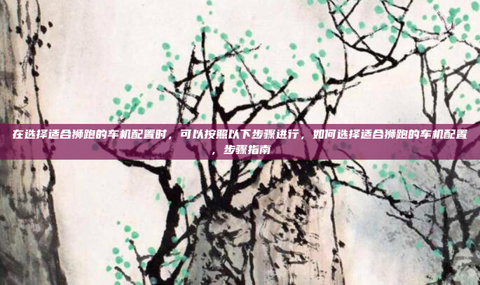 在选择适合狮跑的车机配置时，可以按照以下步骤进行，如何选择适合狮跑的车机配置，步骤指南