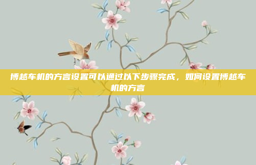 博越车机的方言设置可以通过以下步骤完成,如何设置博越车机的方言