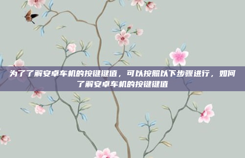 为了了解安卓车机的按键键值，可以按照以下步骤进行，如何了解安卓车机的按键键值