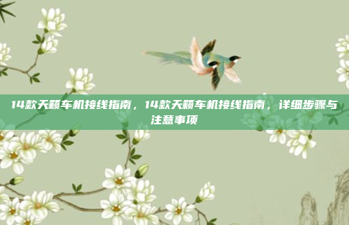 14款天籁车机接线指南，14款天籁车机接线指南，详细步骤与注意事项