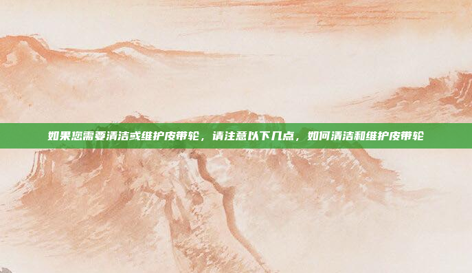 如果您需要清洁或维护皮带轮，请注意以下几点，如何清洁和维护皮带轮