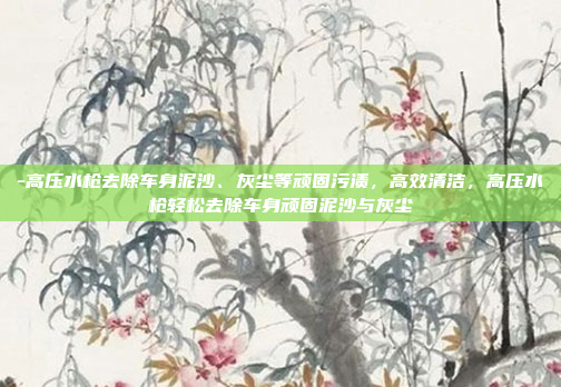 -高压水枪去除车身泥沙、灰尘等顽固污渍，高效清洁，高压水枪轻松去除车身顽固泥沙与灰尘