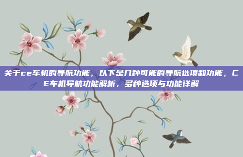 关于ce车机的导航功能,以下是几种可能的导航选项和功能,CE车机导航功能解析,多种选项与功能详解