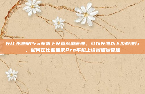 在比亚迪宋Pro车机上设置流量管理，可以按照以下步骤进行，如何在比亚迪宋Pro车机上设置流量管理
