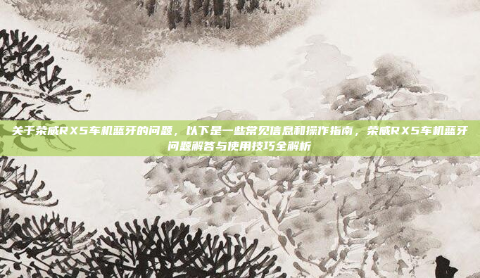 关于荣威RX5车机蓝牙的问题，以下是一些常见信息和操作指南，荣威RX5车机蓝牙问题解答与使用技巧全解析
