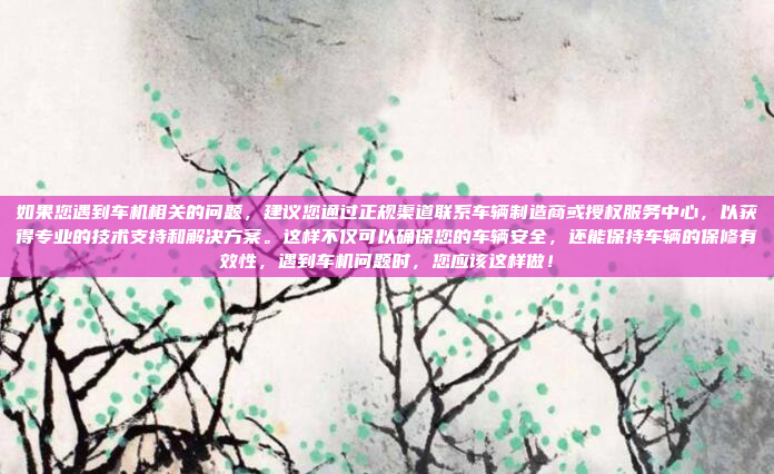 如果您遇到车机相关的问题，建议您通过正规渠道联系车辆制造商或授权服务中心，以获得专业的技术支持和解决方案。这样不仅可以确保您的车辆安全，还能保持车辆的保修有效性，遇到车机问题时，您应该这样做！