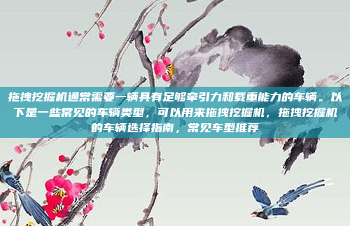拖拽挖掘机通常需要一辆具有足够牵引力和载重能力的车辆。以下是一些常见的车辆类型，可以用来拖拽挖掘机，拖拽挖掘机的车辆选择指南，常见车型推荐
