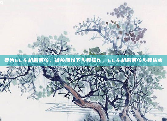 要为EC车机刷系统，请按照以下步骤操作，EC车机刷系统步骤指南