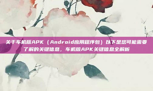 关于车机版APK（Android应用程序包）以下是您可能需要了解的关键信息，车机版APK关键信息全解析