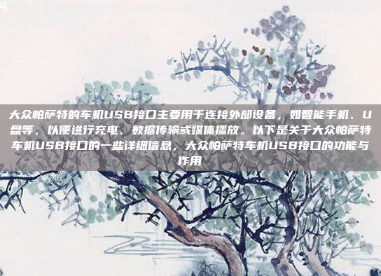 大众帕萨特的车机USB接口主要用于连接外部设备，如智能手机、U盘等，以便进行充电、数据传输或媒体播放。以下是关于大众帕萨特车机USB接口的一些详细信息，大众帕萨特车机USB接口的功能与作用