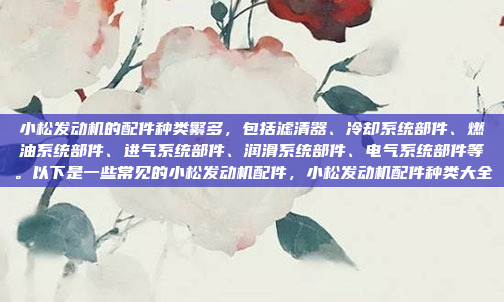 小松发动机的配件种类繁多,包括滤清器、冷却系统部件、燃油系统部件、进气系统部件、润滑系统部件、电气系统部件等。以下是一些常见的小松发动机配件,小松发动机配件种类大全