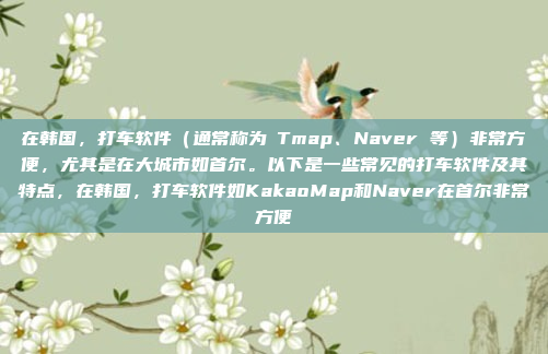 在韩国，打车软件（通常称为카Tmap、Naver 等）非常方便，尤其是在大城市如首尔。以下是一些常见的打车软件及其特点，在韩国，打车软件如KakaoMap和Naver在首尔非常方便