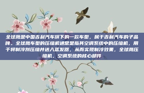 全球鹰是中国吉利汽车旗下的一款车型，属于吉利汽车的子品牌。全球鹰车型的压缩机通常是指其空调系统中的压缩机，用于将制冷剂压缩并送入蒸发器，从而实现制冷效果，全球鹰压缩机，空调系统的核心部件
