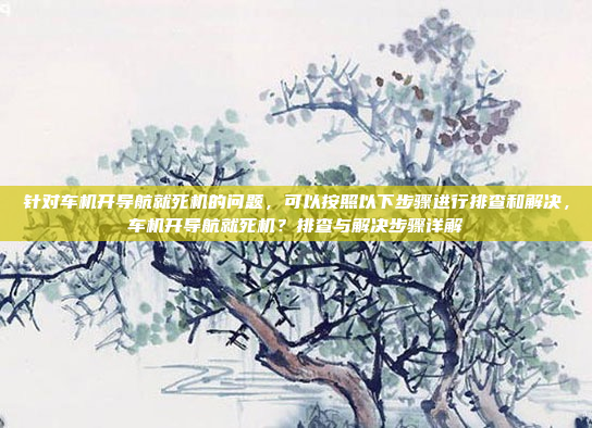 针对车机开导航就死机的问题，可以按照以下步骤进行排查和解决，车机开导航就死机？排查与解决步骤详解