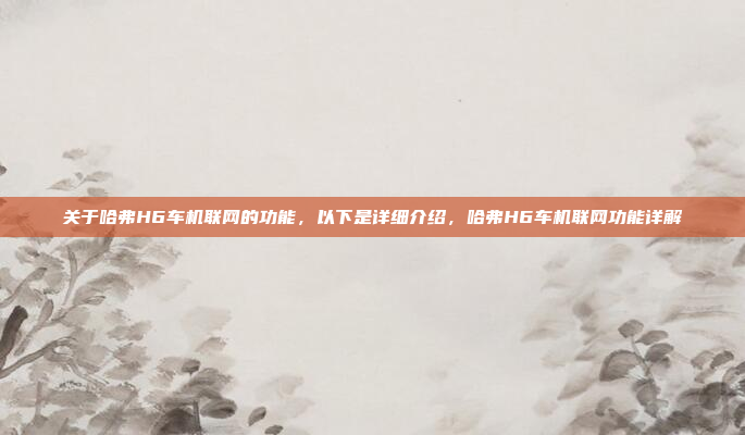 关于哈弗H6车机联网的功能，以下是详细介绍，哈弗H6车机联网功能详解
