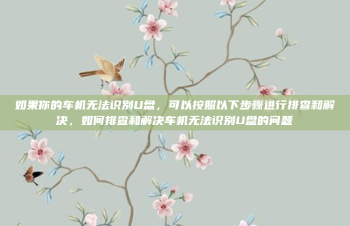 如果你的车机无法识别U盘，可以按照以下步骤进行排查和解决，如何排查和解决车机无法识别U盘的问题