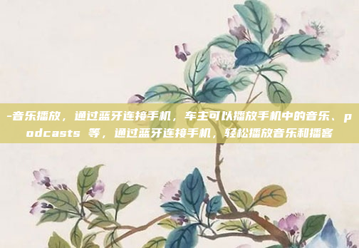 -音乐播放，通过蓝牙连接手机，车主可以播放手机中的音乐、podcasts 等，通过蓝牙连接手机，轻松播放音乐和播客
