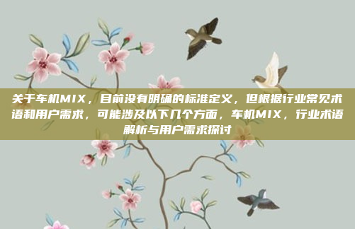关于车机MIX，目前没有明确的标准定义，但根据行业常见术语和用户需求，可能涉及以下几个方面，车机MIX，行业术语解析与用户需求探讨