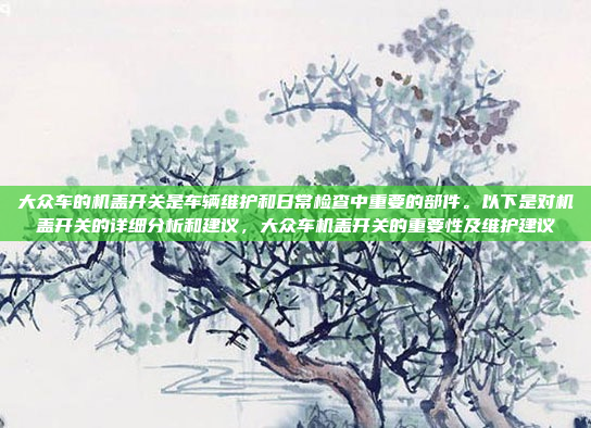 大众车的机盖开关是车辆维护和日常检查中重要的部件。以下是对机盖开关的详细分析和建议，大众车机盖开关的重要性及维护建议