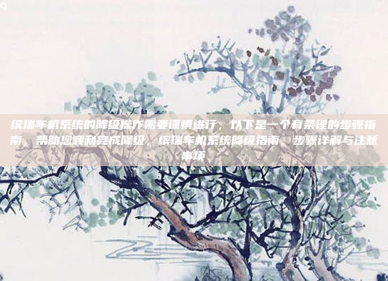 缤瑞车机系统的降级操作需要谨慎进行，以下是一个有条理的步骤指南，帮助您顺利完成降级，缤瑞车机系统降级指南，步骤详解与注意事项