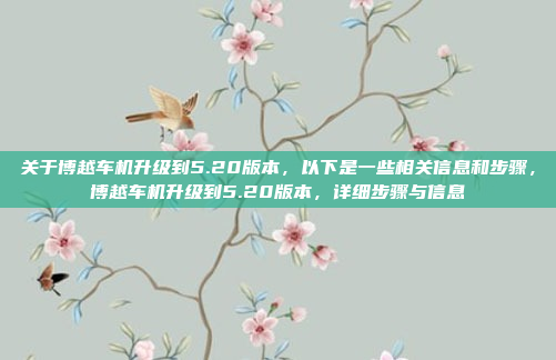 关于博越车机升级到5.20版本，以下是一些相关信息和步骤，博越车机升级到5.20版本，详细步骤与信息