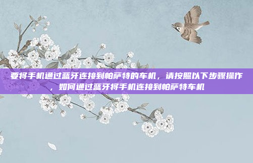要将手机通过蓝牙连接到帕萨特的车机，请按照以下步骤操作，如何通过蓝牙将手机连接到帕萨特车机