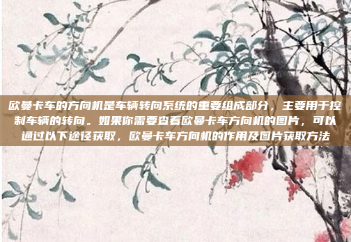 欧曼卡车的方向机是车辆转向系统的重要组成部分，主要用于控制车辆的转向。如果你需要查看欧曼卡车方向机的图片，可以通过以下途径获取，欧曼卡车方向机的作用及图片获取方法