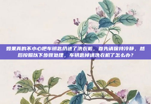 如果真的不小心把车钥匙扔进了洗衣机，首先请保持冷静，然后按照以下步骤处理，车钥匙掉进洗衣机了怎么办？