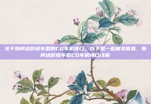 关于斯柯达昕锐车型的CD车机接口,以下是一些相关信息,斯柯达昕锐车型CD车机接口详解