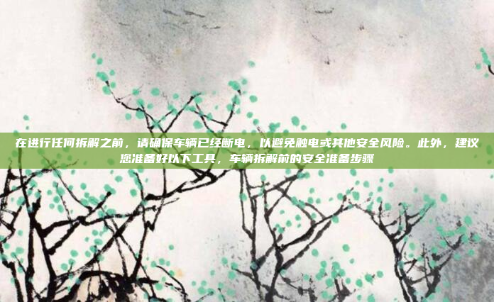 在进行任何拆解之前，请确保车辆已经断电，以避免触电或其他安全风险。此外，建议您准备好以下工具，车辆拆解前的安全准备步骤