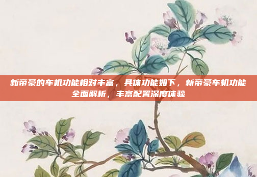 新帝豪的车机功能相对丰富，具体功能如下，新帝豪车机功能全面解析，丰富配置深度体验