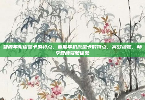 智能车机流量卡的特点，智能车机流量卡的特点，高效稳定，畅享智能驾驶体验
