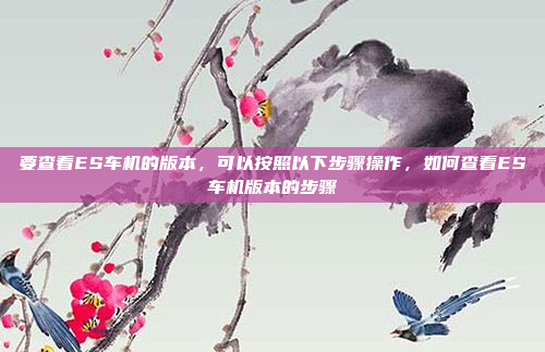 要查看ES车机的版本,可以按照以下步骤操作,如何查看ES车机版本的步骤