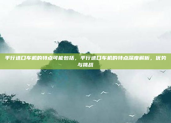 平行进口车机的特点可能包括，平行进口车机的特点深度解析，优势与挑战