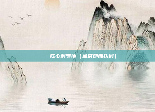 📍核心调节项（通常都能找到）