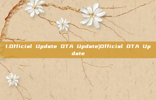 1.Official Update OTA Update)Official OTA Update