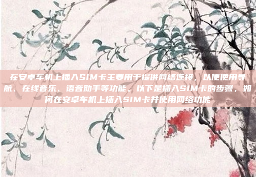 在安卓车机上插入SIM卡主要用于提供网络连接，以便使用导航、在线音乐、语音助手等功能。以下是插入SIM卡的步骤，如何在安卓车机上插入SIM卡并使用网络功能