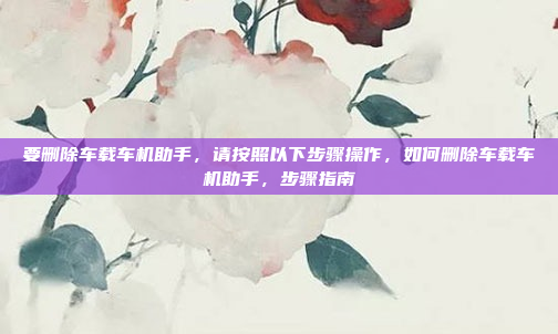 要删除车载车机助手，请按照以下步骤操作，如何删除车载车机助手，步骤指南