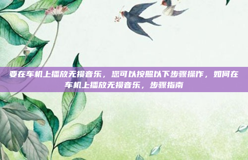 要在车机上播放无损音乐，您可以按照以下步骤操作，如何在车机上播放无损音乐，步骤指南